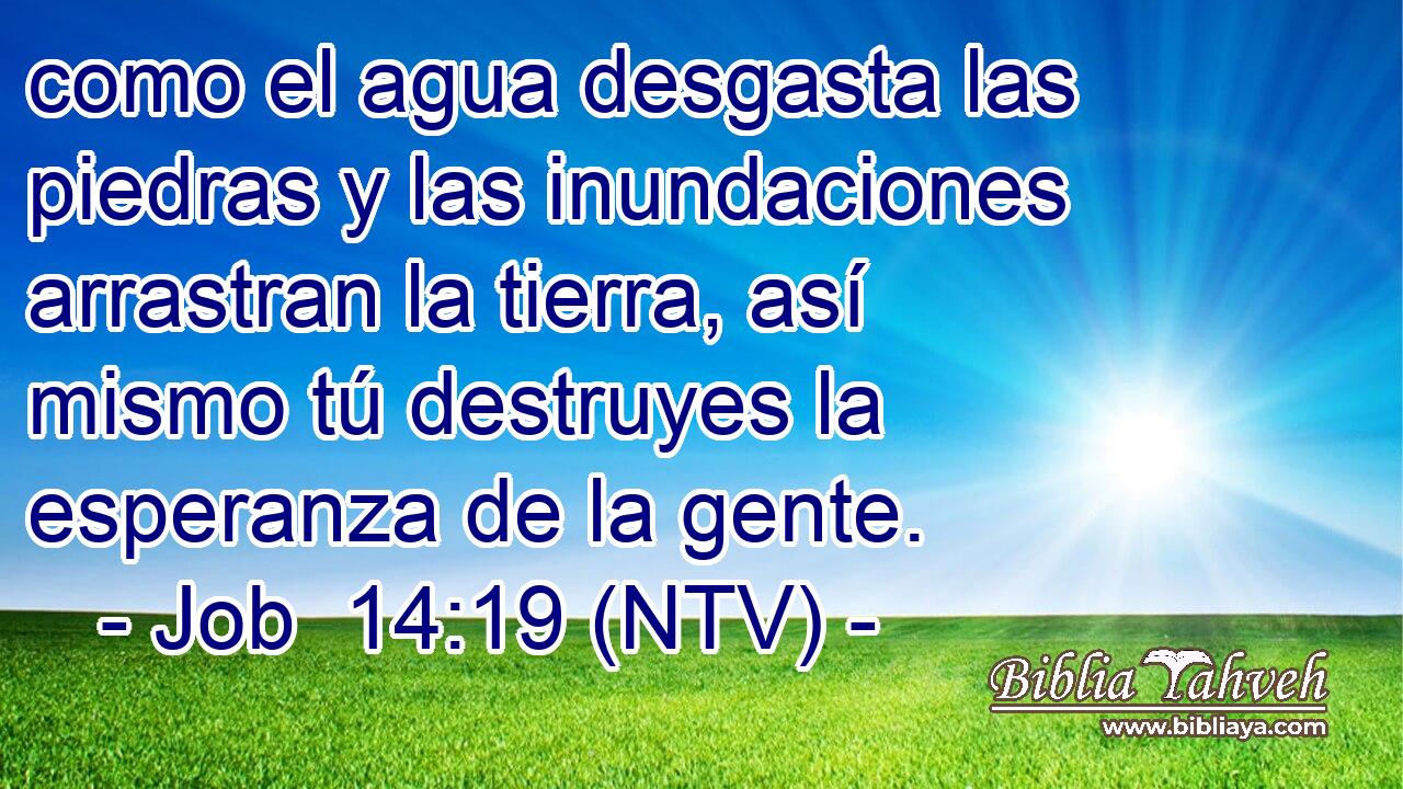 como el agua desgasta las piedras y las inundaciones arrastran la tierra, así mismo tú destruyes la esperanza de la gente.