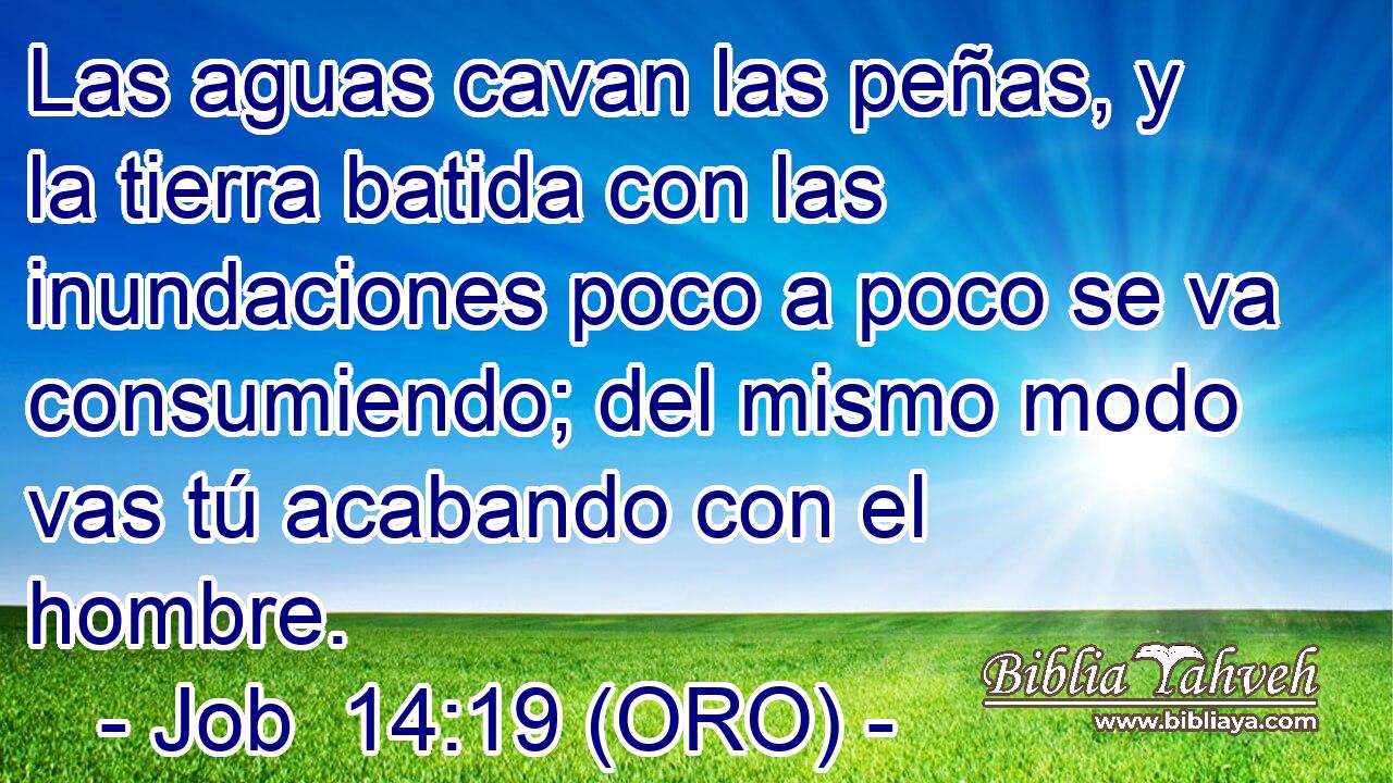  Las aguas cavan las peñas, y la tierra batida con las inundaciones poco a poco se va consumiendo; del mismo modo vas tú acabando con el hombre. 