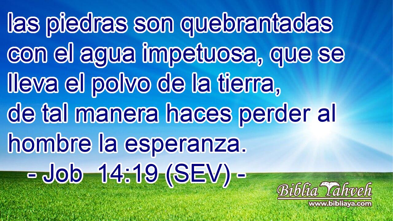 las piedras son quebrantadas con el agua impetuosa, que se lleva el polvo de la tierra, de tal manera haces perder al hombre la esperanza.