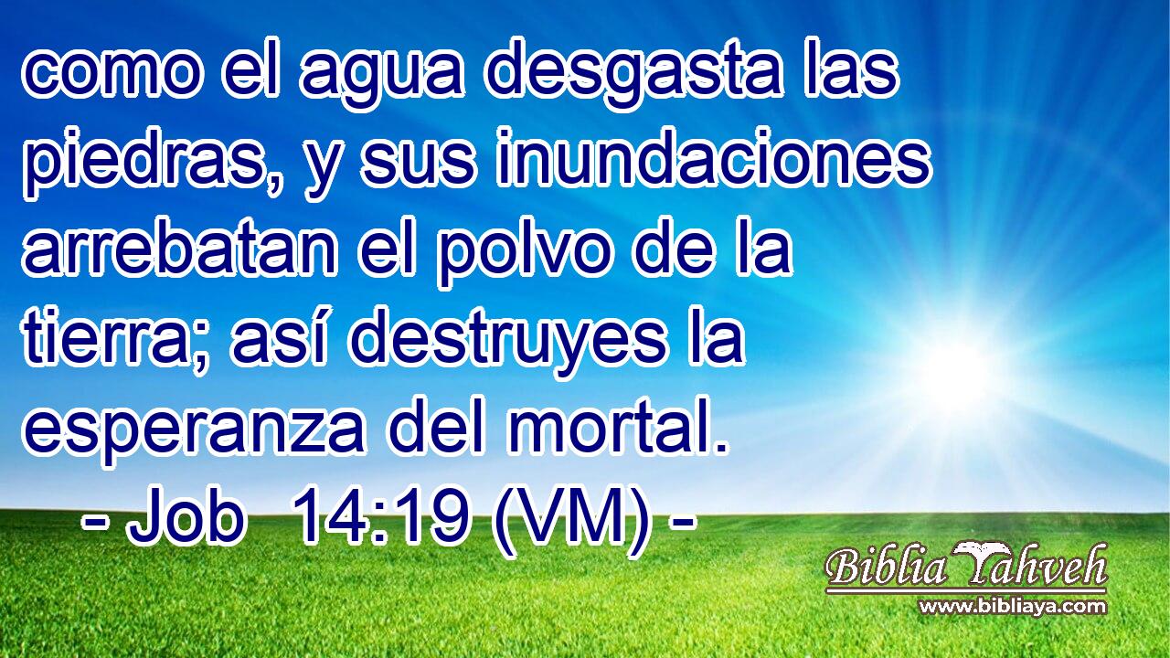  como el agua desgasta las piedras, y sus inundaciones arrebatan el polvo de la tierra; así destruyes la esperanza del mortal. 