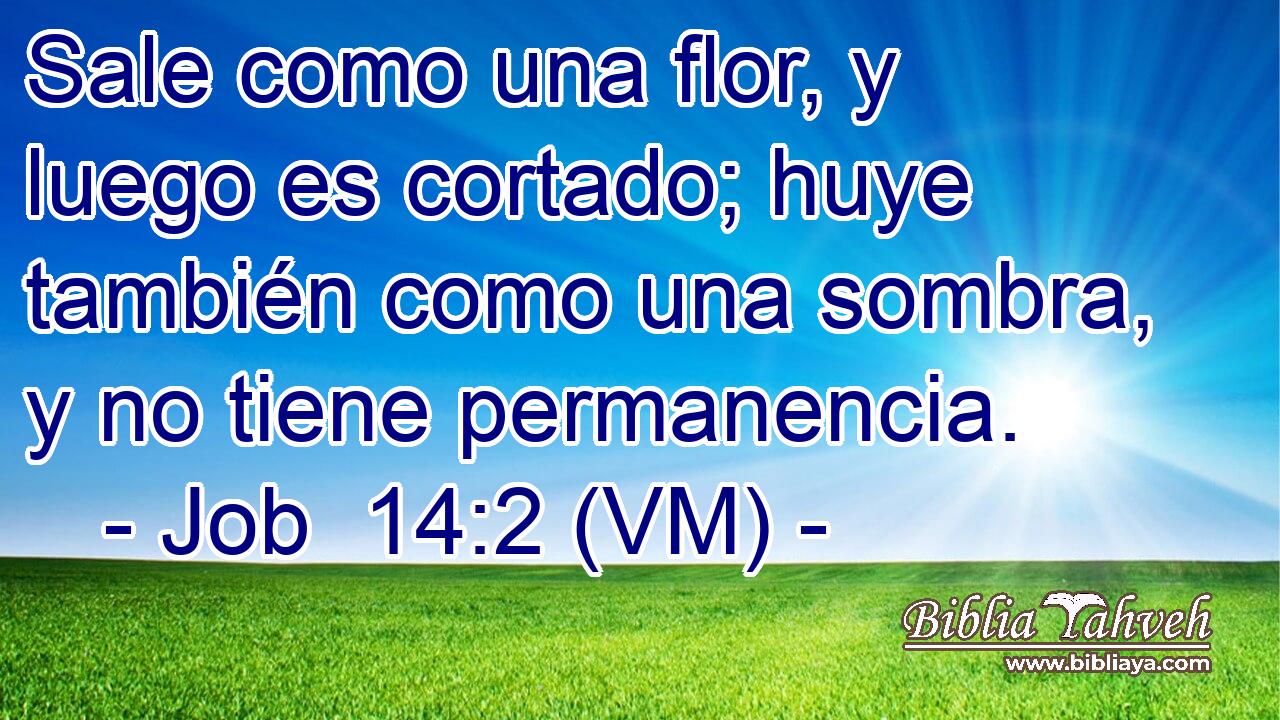  Sale como una flor, y luego es cortado; huye también como una sombra, y no tiene permanencia. 