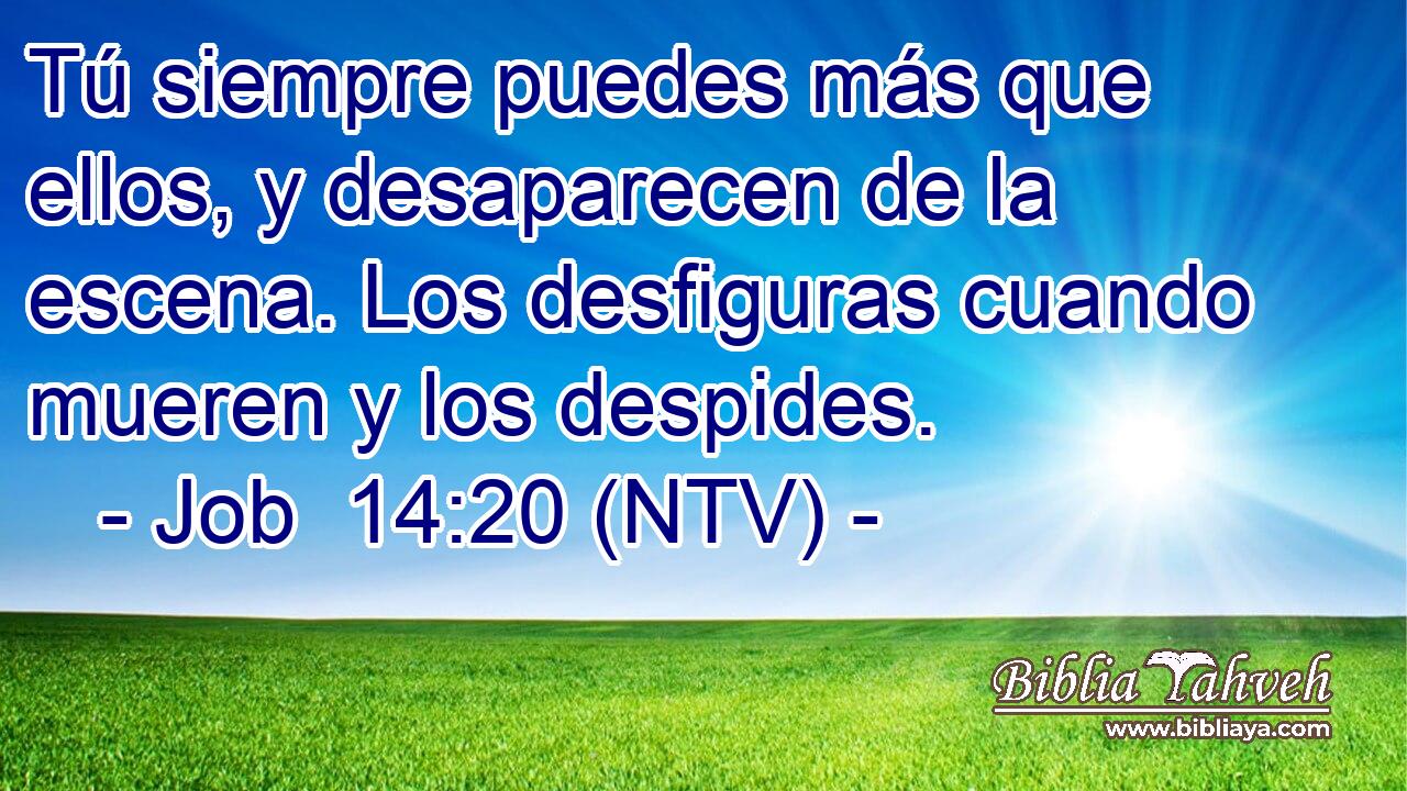 Tú siempre puedes más que ellos, y desaparecen de la escena. Los desfiguras cuando mueren y los despides.