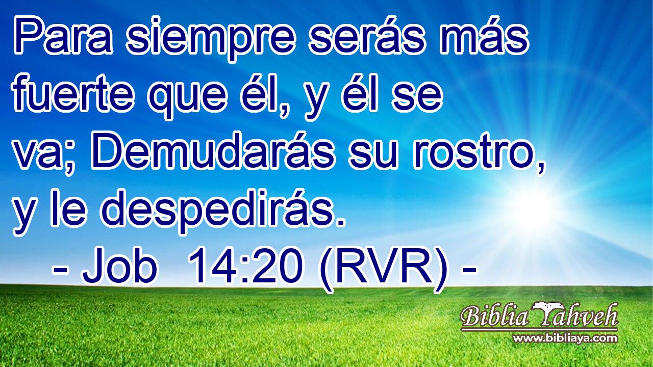 Para siempre serás más fuerte que él, y él se va; Demudarás su rostro, y le despedirás.