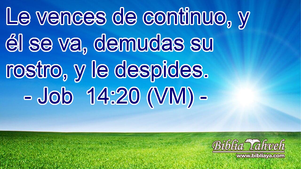  Le vences de continuo, y él se va, demudas su rostro, y le despides. 