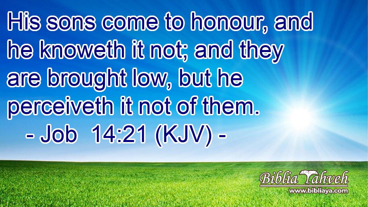 His sons come to honour, and he knoweth it not; and they are brought low, but he perceiveth it not of them.
