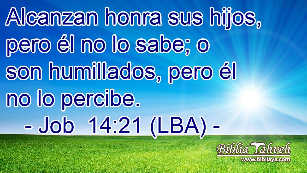 Alcanzan honra sus hijos, pero él no lo sabe; o son humillados, pero él no lo percibe.
