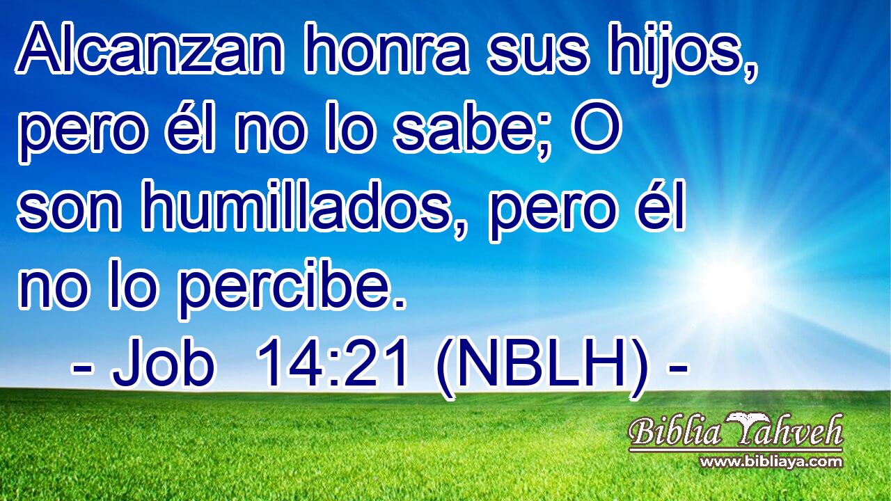  Alcanzan honra sus hijos, pero él no lo sabe; O son humillados, pero él no lo percibe. 