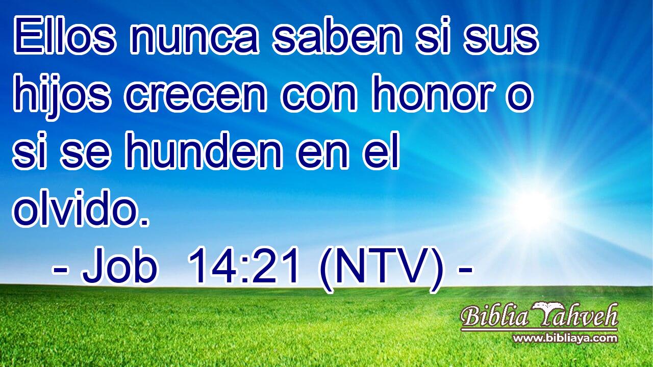 Ellos nunca saben si sus hijos crecen con honor o si se hunden en el olvido.