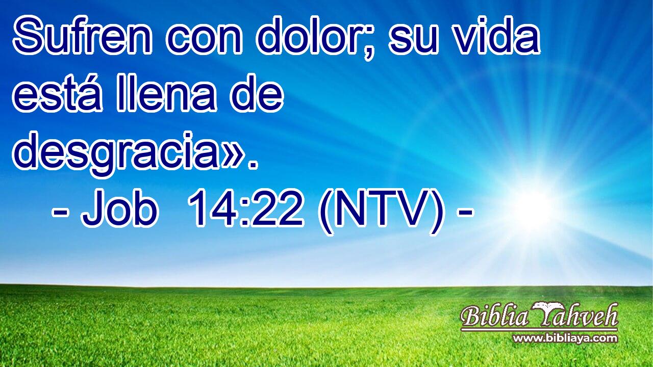 Sufren con dolor; su vida está llena de desgracia».