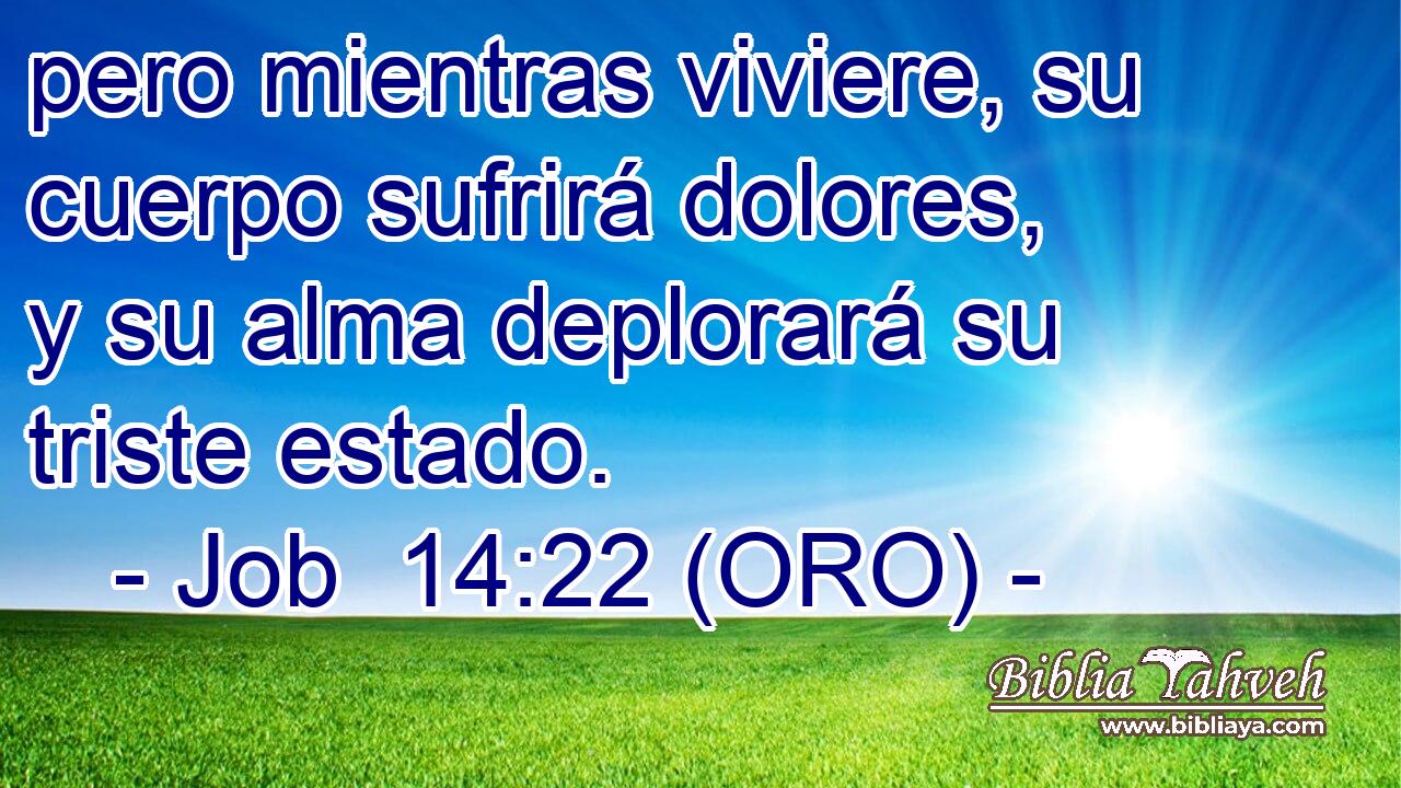  pero mientras viviere, su cuerpo sufrirá dolores, y su alma deplorará su triste estado. 