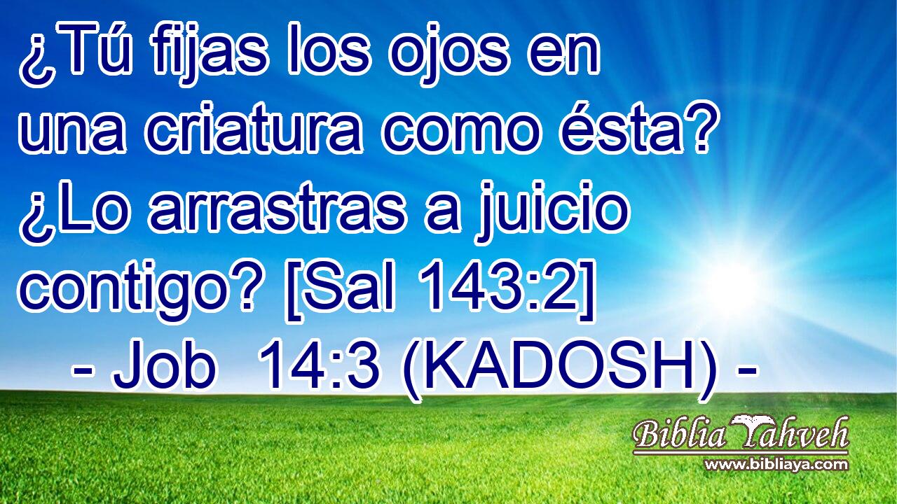  ¿Tú fijas los ojos en una criatura como ésta? ¿Lo arrastras a juicio contigo? [Sal 143:2] 