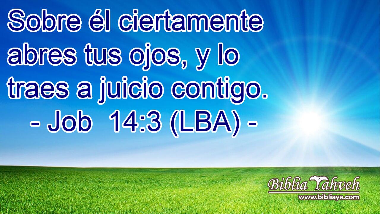 Sobre él ciertamente abres tus ojos, y lo traes a juicio contigo.