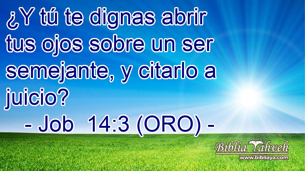  ¿Y tú te dignas abrir tus ojos sobre un ser semejante, y citarlo a juicio? 