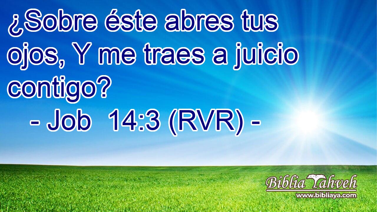 ¿Sobre éste abres tus ojos, Y me traes a juicio contigo?