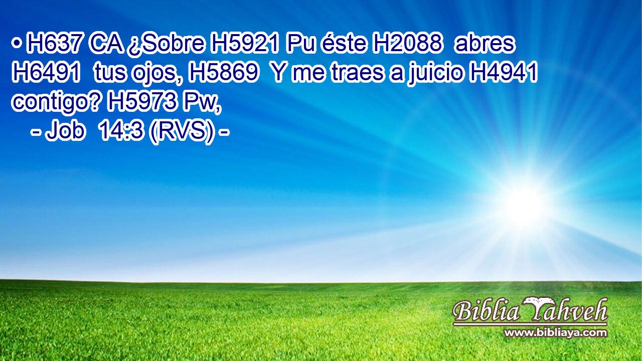 • H637 CA ¿Sobre H5921 Pu éste H2088  abres H6491  tus ojos, H5869  Y me traes a juicio H4941  contigo? H5973 Pw,  