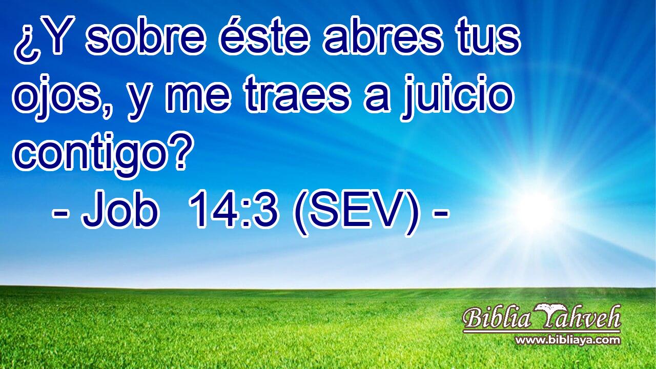 ¿Y sobre éste abres tus ojos, y me traes a juicio contigo?