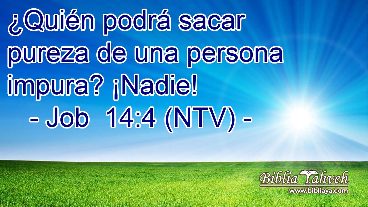 ¿Quién podrá sacar pureza de una persona impura? ¡Nadie!
