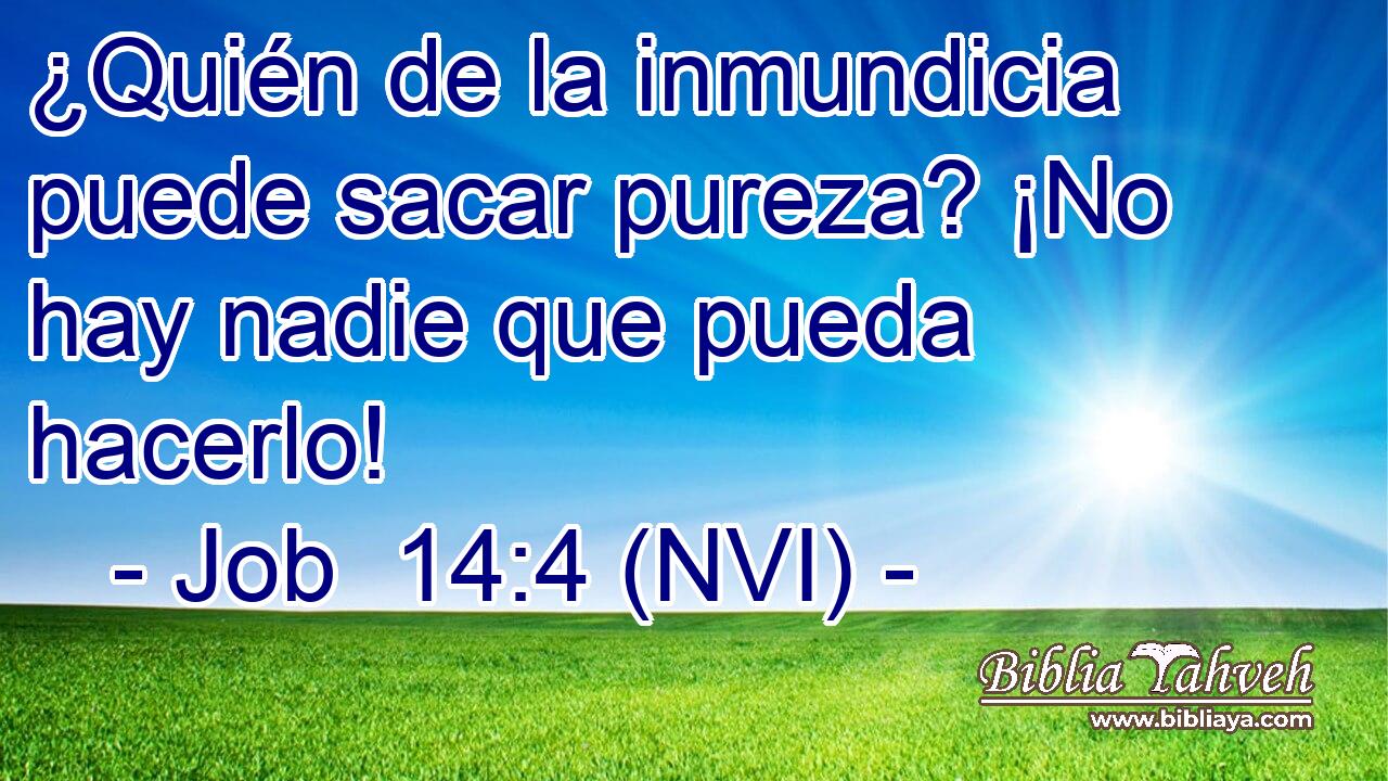  ¿Quién de la inmundicia puede sacar pureza? ¡No hay nadie que pueda hacerlo! 