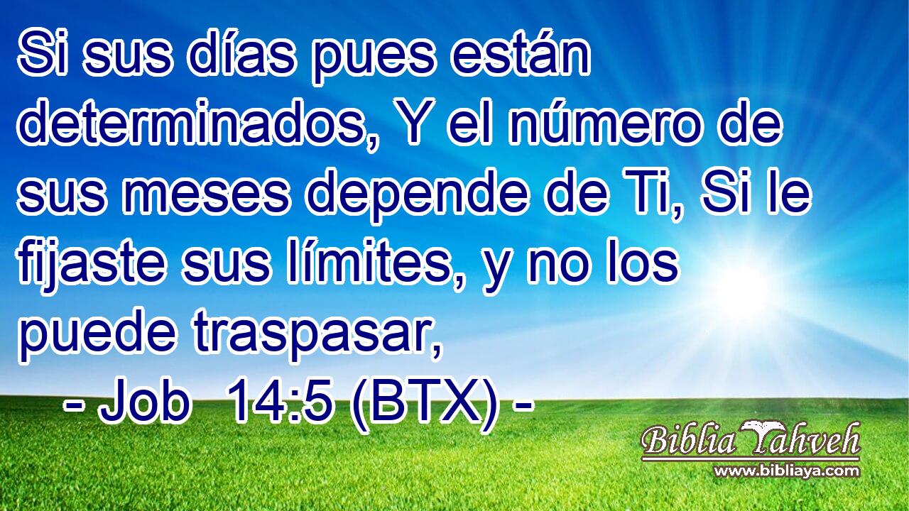 Si sus días pues están determinados, Y el número de sus meses depende de Ti, Si le fijaste sus límites, y no los puede traspasar,