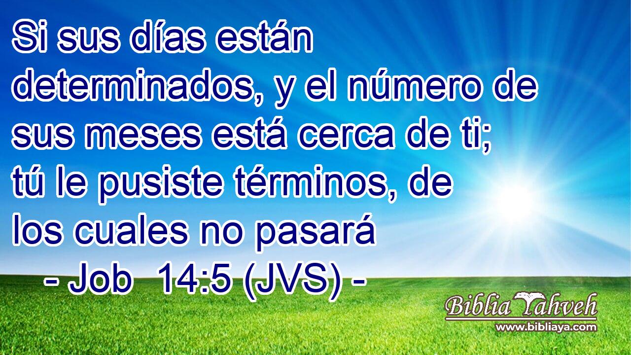 Si sus días están determinados, y el número de sus meses está cerca de ti; tú le pusiste términos, de los cuales no pasará