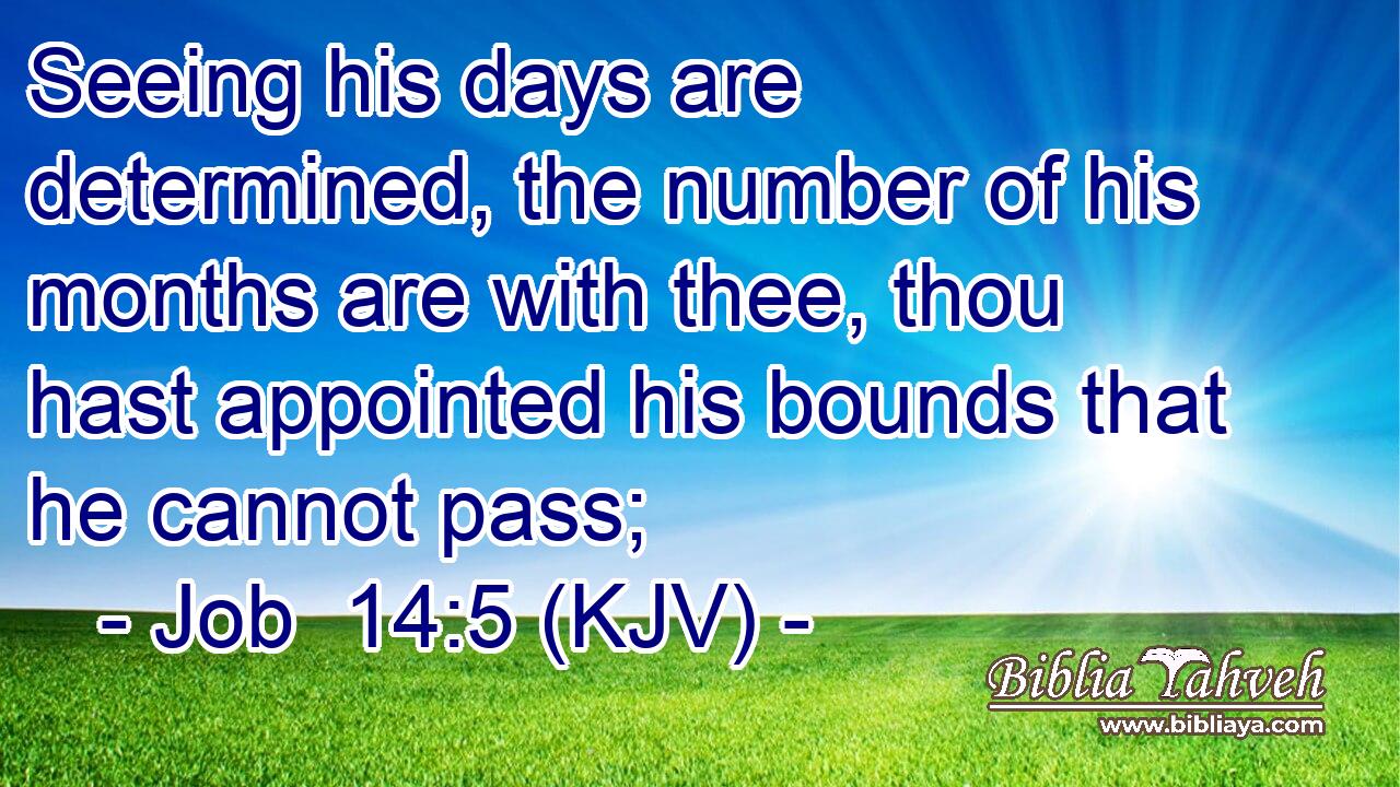 Seeing his days are determined, the number of his months are with thee, thou hast appointed his bounds that he cannot pass;