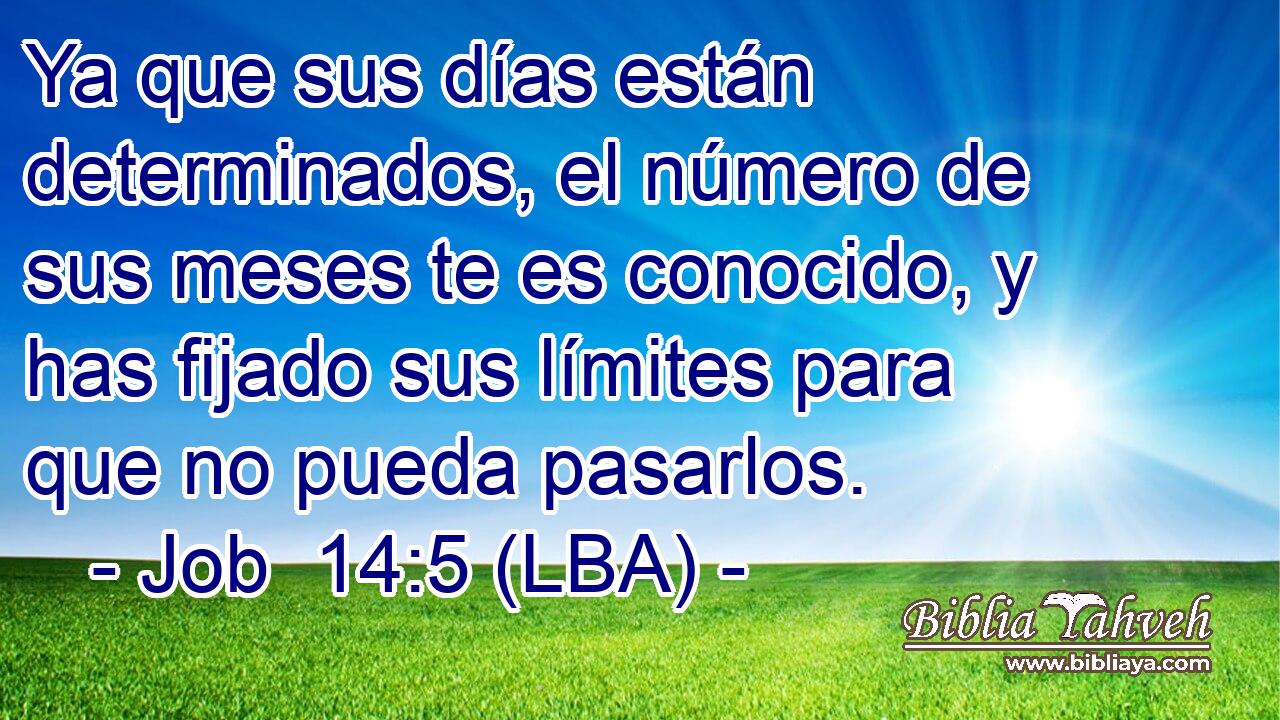 Ya que sus días están determinados, el número de sus meses te es conocido, y has fijado sus límites para que no pueda pasarlos.