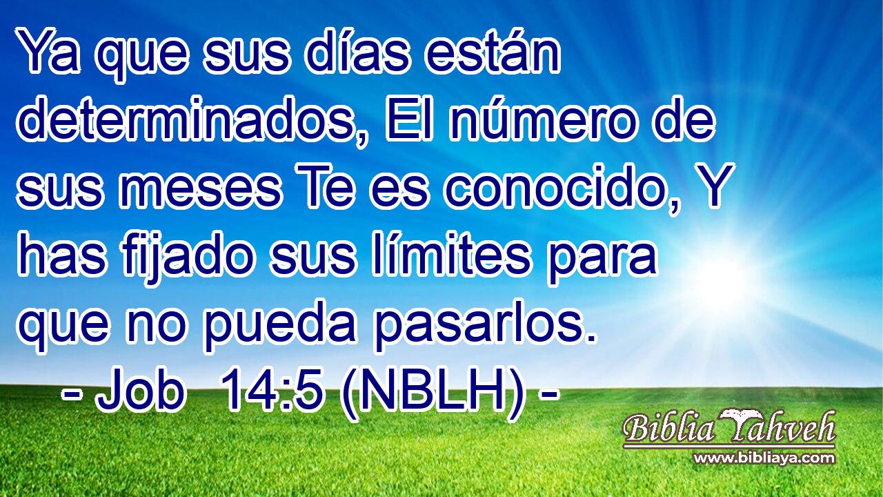  Ya que sus días están determinados, El número de sus meses Te es conocido, Y has fijado sus límites para que no pueda pasarlos. 