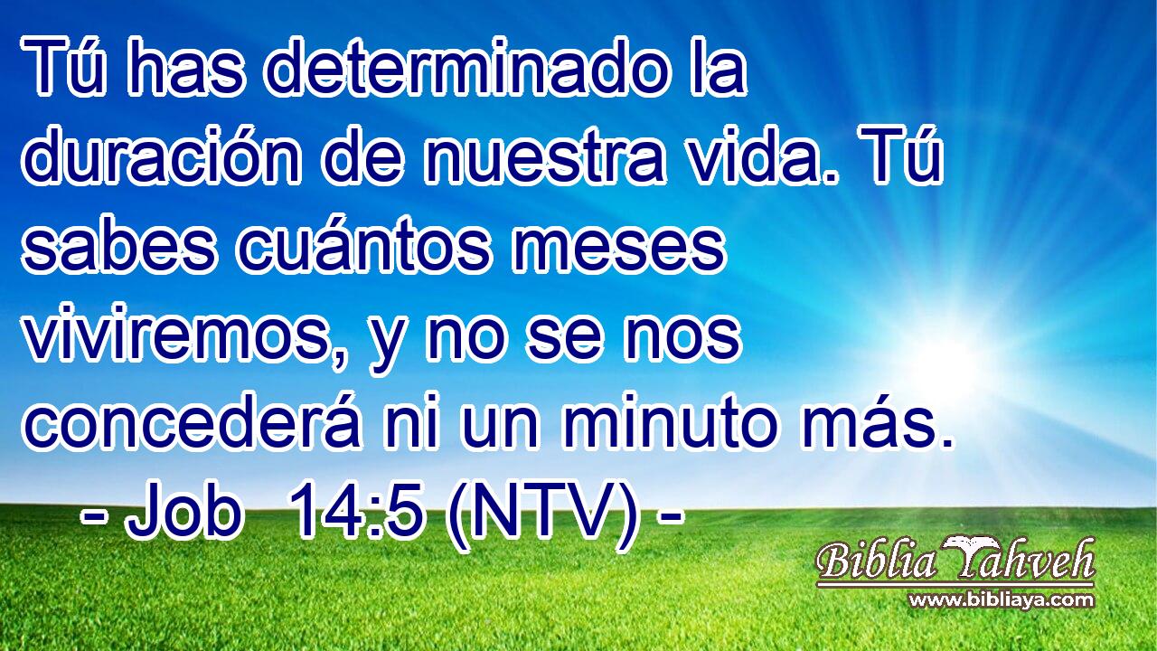 Tú has determinado la duración de nuestra vida. Tú sabes cuántos meses viviremos, y no se nos concederá ni un minuto más.