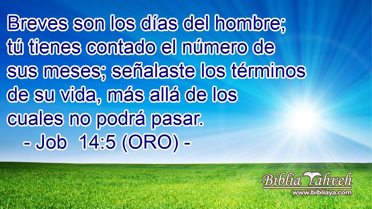 Breves son los días del hombre; tú tienes contado el número de sus meses; señalaste los términos de su vida, más allá de los cuales no podrá pasar. 