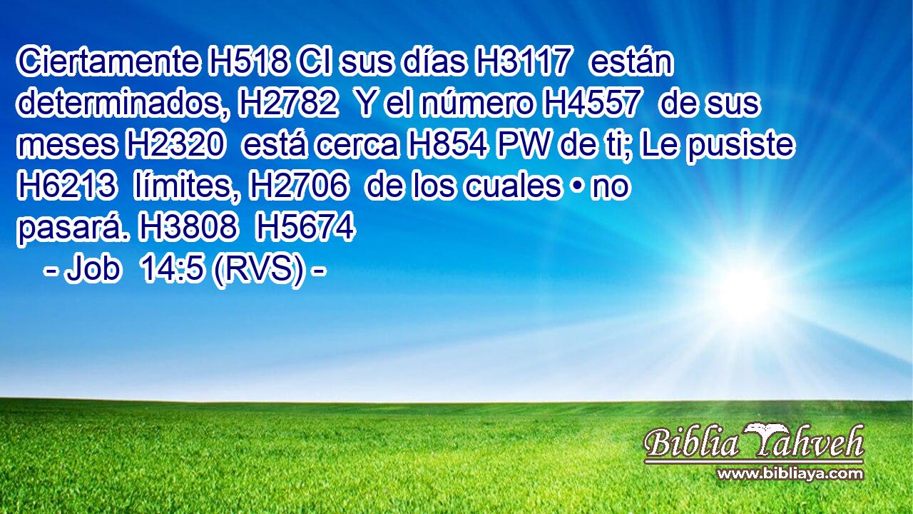 Ciertamente H518 CI sus días H3117  están determinados, H2782  Y el número H4557  de sus meses H2320  está cerca H854 PW de ti; Le pusiste H6213  límites, H2706  de los cuales • no pasará. H3808  H5674 