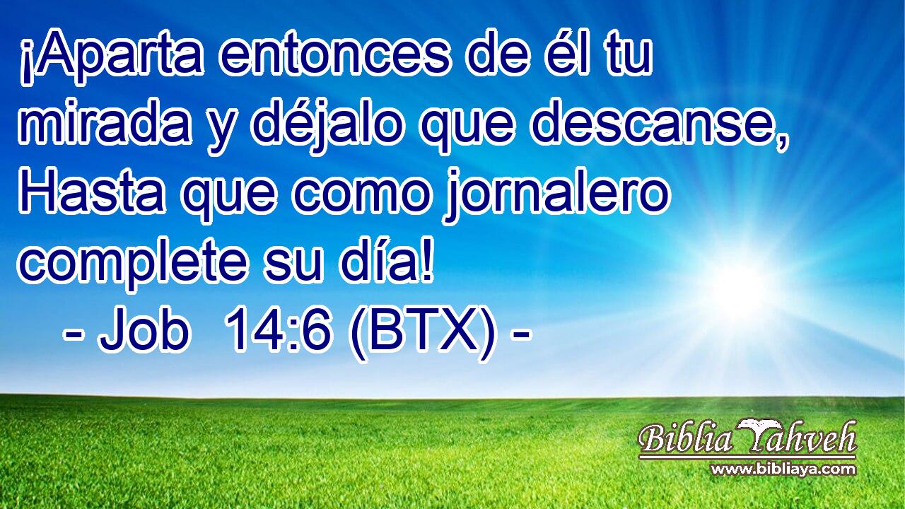 ¡Aparta entonces de él tu mirada y déjalo que descanse, Hasta que como jornalero complete su día!