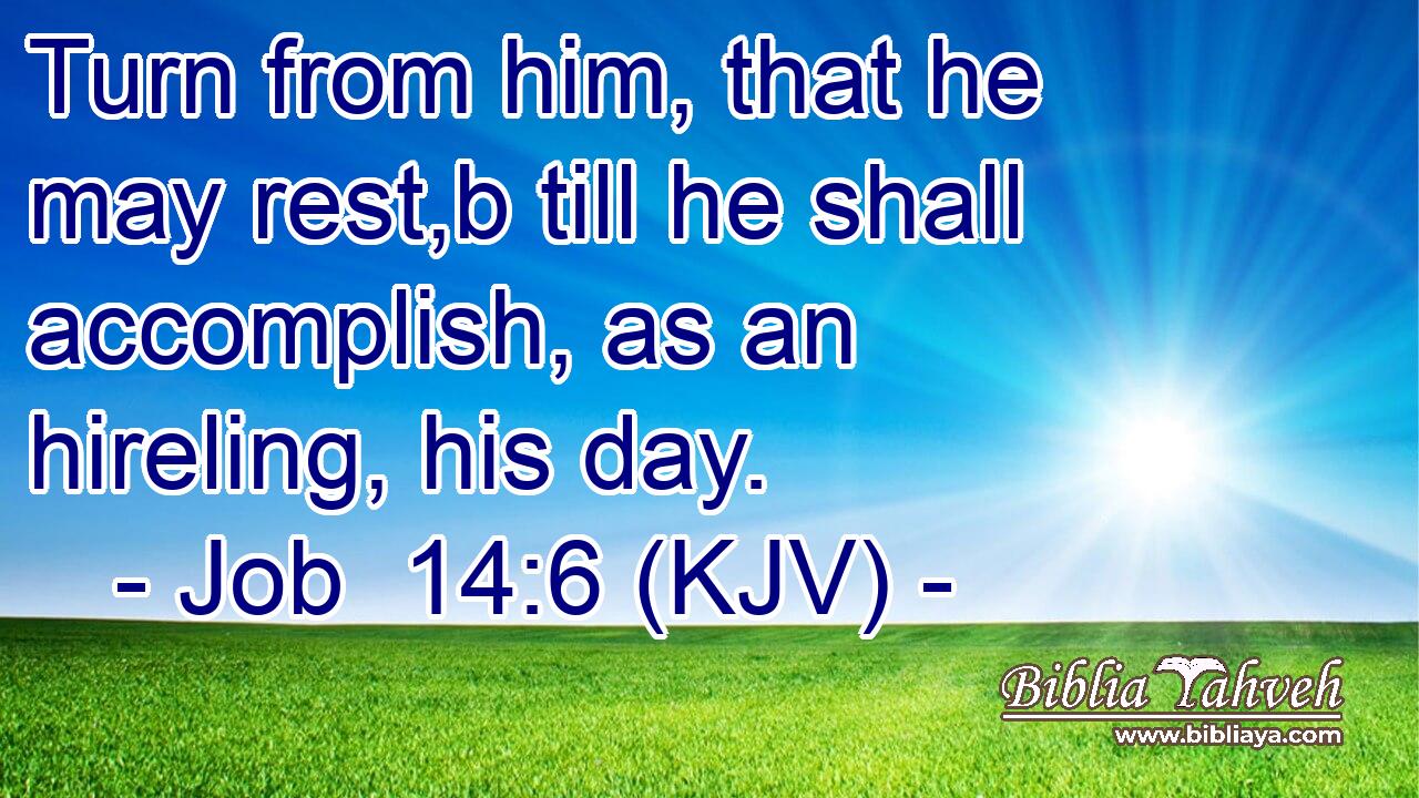 Turn from him, that he may rest,b till he shall accomplish, as an hireling, his day.