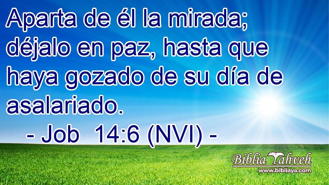  Aparta de él la mirada; déjalo en paz, hasta que haya gozado de su día de asalariado. 
