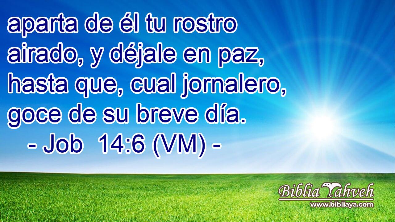  aparta de él tu rostro airado, y déjale en paz, hasta que, cual jornalero, goce de su breve día. 
