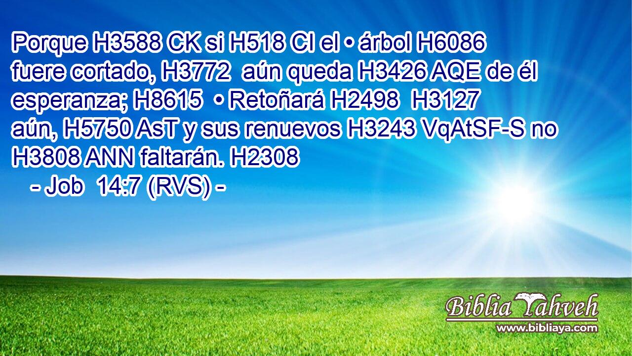Porque H3588 CK si H518 CI el • árbol H6086  fuere cortado, H3772  aún queda H3426 AQE de él esperanza; H8615  • Retoñará H2498  H3127 aún, H5750 AsT y sus renuevos H3243 VqAtSF-S no H3808 ANN faltarán. H2308  
