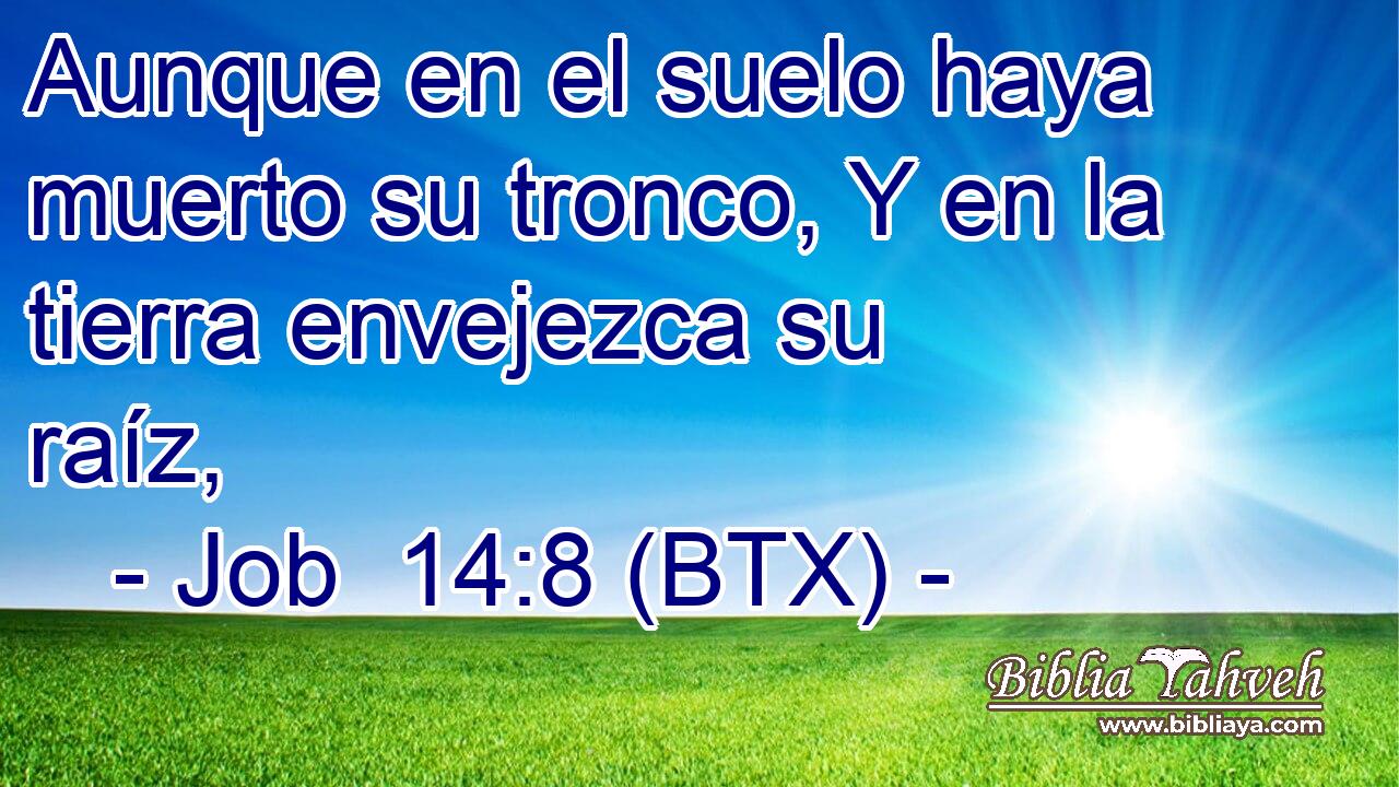 Aunque en el suelo haya muerto su tronco, Y en la tierra envejezca su raíz,