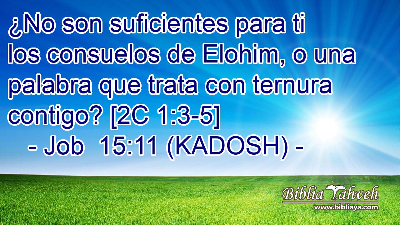  ¿No son suficientes para ti los consuelos de Elohim, o una palabra que trata con ternura contigo? [2C 1:3-5] 