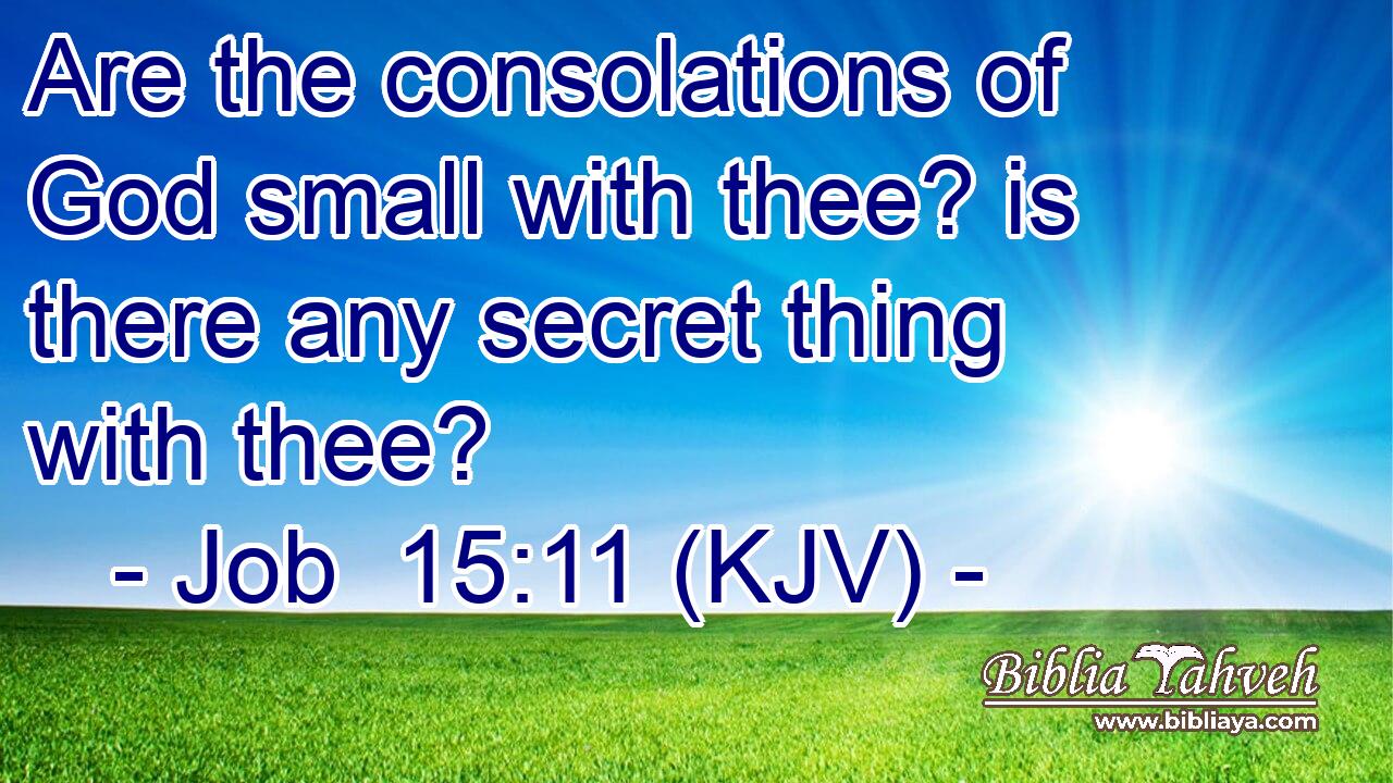 Are the consolations of God small with thee? is there any secret thing with thee?