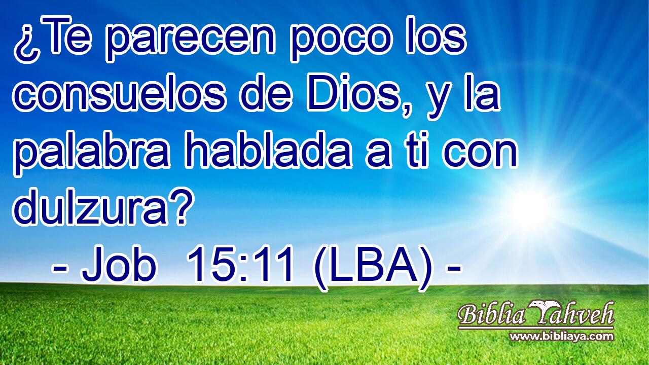 ¿Te parecen poco los consuelos de Dios, y la palabra hablada a ti con dulzura?