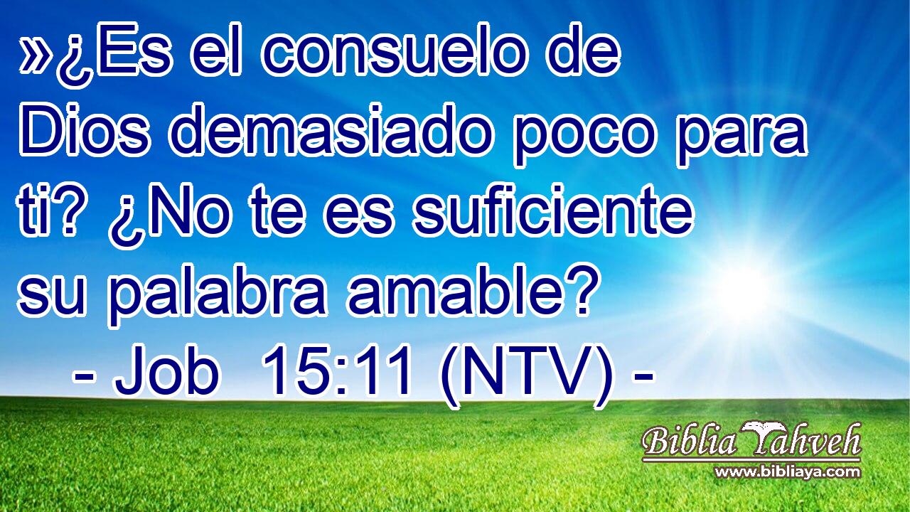 »¿Es el consuelo de Dios demasiado poco para ti? ¿No te es suficiente su palabra amable?