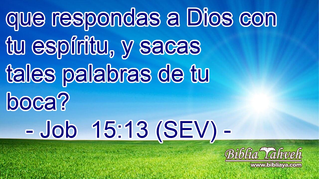 que respondas a Dios con tu espíritu, y sacas tales palabras de tu boca?