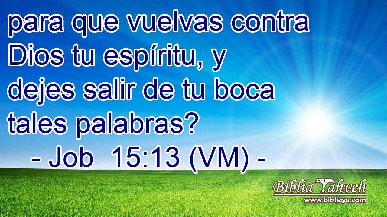  para que vuelvas contra Dios tu espíritu, y dejes salir de tu boca tales palabras? 