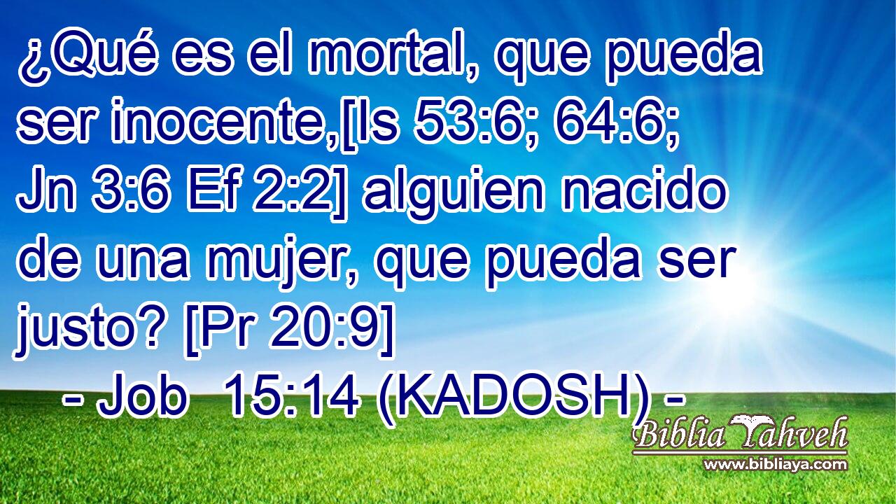  ¿Qué es el mortal, que pueda ser inocente,[Is 53:6; 64:6; Jn 3:6 Ef 2:2] alguien nacido de una mujer, que pueda ser justo? [Pr 20:9] 