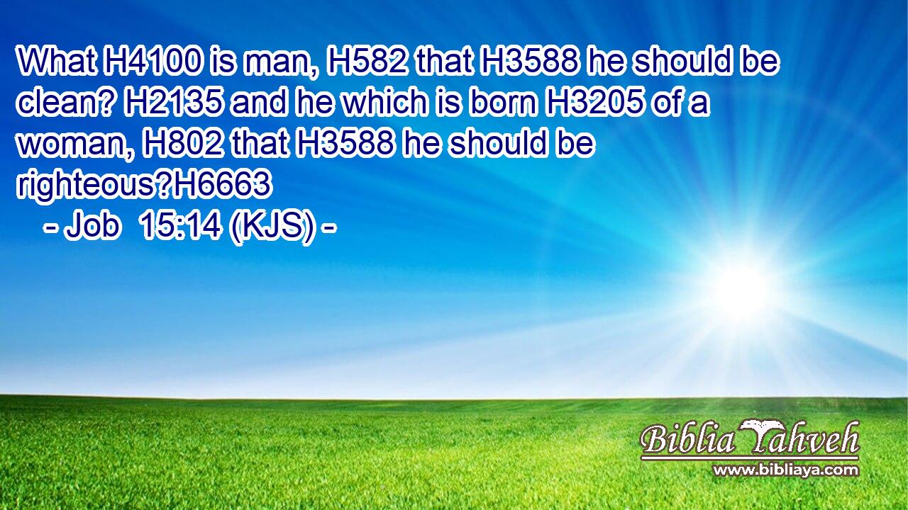 What H4100 is man, H582 that H3588 he should be clean? H2135 and he which is born H3205 of a woman, H802 that H3588 he should be righteous?H6663
