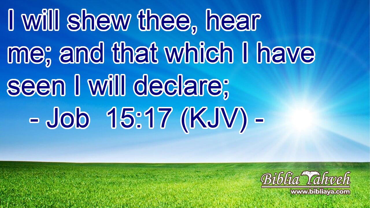 I will shew thee, hear me; and that which I have seen I will declare;