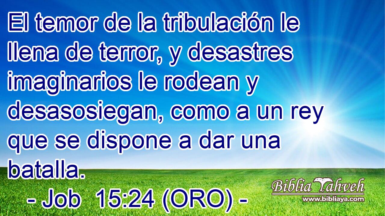  El temor de la tribulación le llena de terror, y desastres imaginarios le rodean y desasosiegan, como a un rey que se dispone a dar una batalla. 