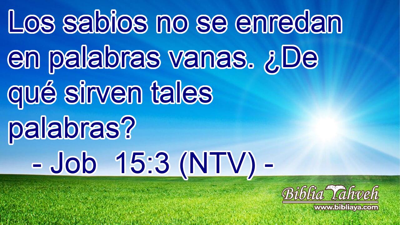 Los sabios no se enredan en palabras vanas. ¿De qué sirven tales palabras?