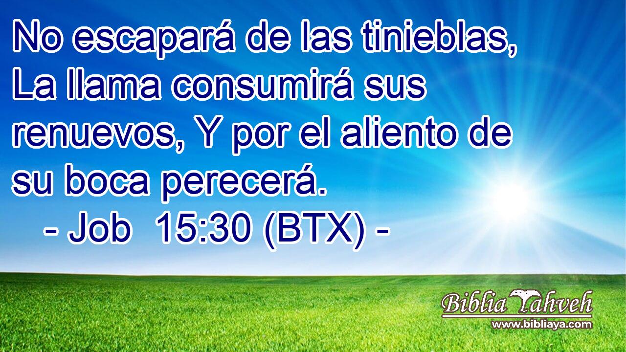 No escapará de las tinieblas, La llama consumirá sus renuevos, Y por el aliento de su boca perecerá.