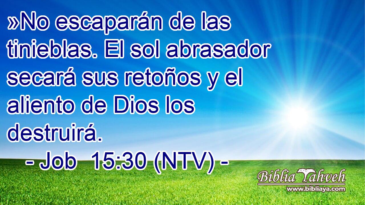 »No escaparán de las tinieblas. El sol abrasador secará sus retoños y el aliento de Dios los destruirá.