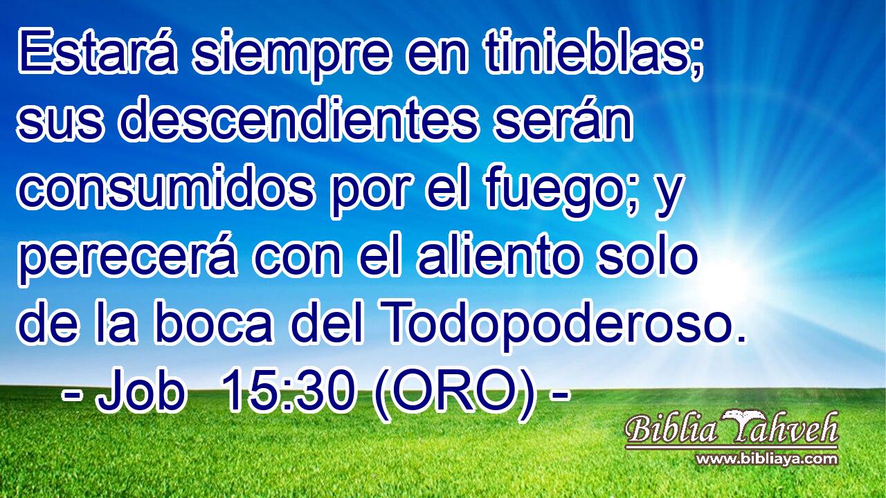  Estará siempre en tinieblas; sus descendientes serán consumidos por el fuego; y perecerá con el aliento solo de la boca del Todopoderoso. 